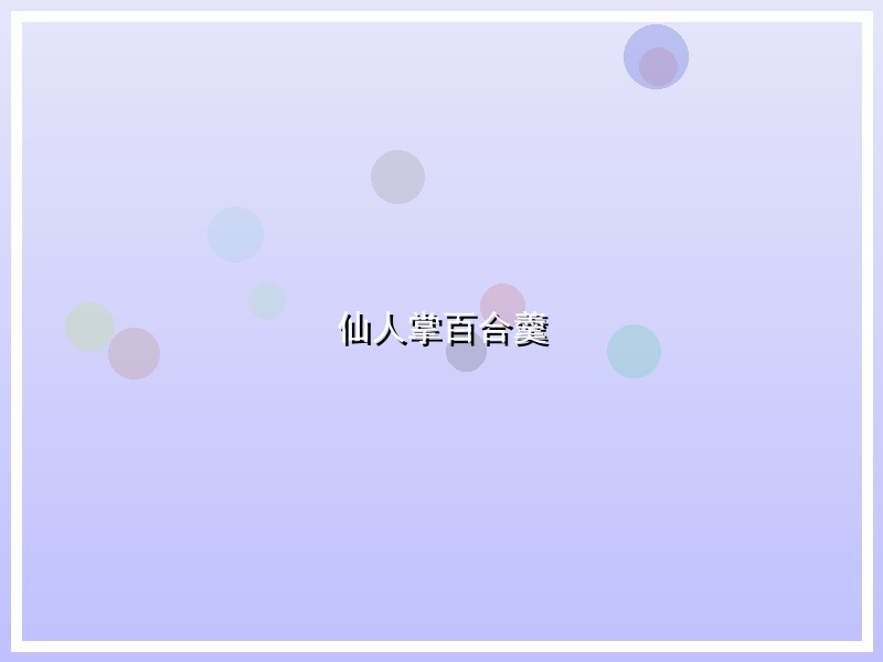 仙人掌百合羹
