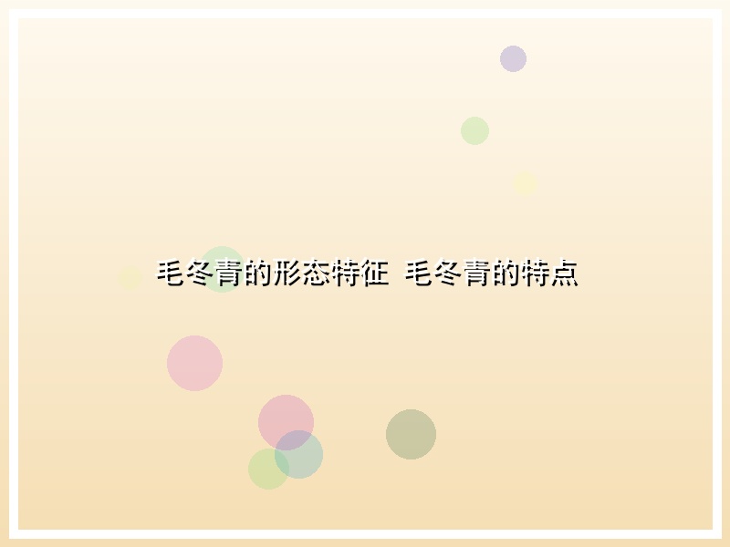 毛冬青的形态特征 毛冬青的特点