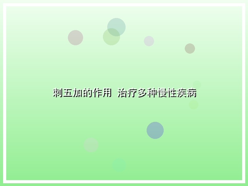 刺五加的作用 治疗多种慢性疾病