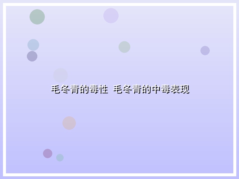 毛冬青的毒性 毛冬青的中毒表现