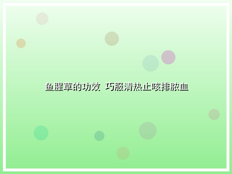 鱼腥草的功效 巧服清热止咳排脓血