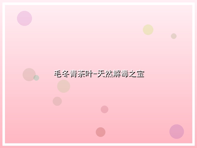 毛冬青茶叶-天然解毒之宝
