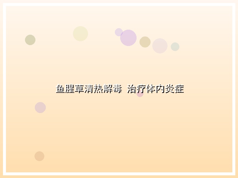 鱼腥草清热解毒 治疗体内炎症