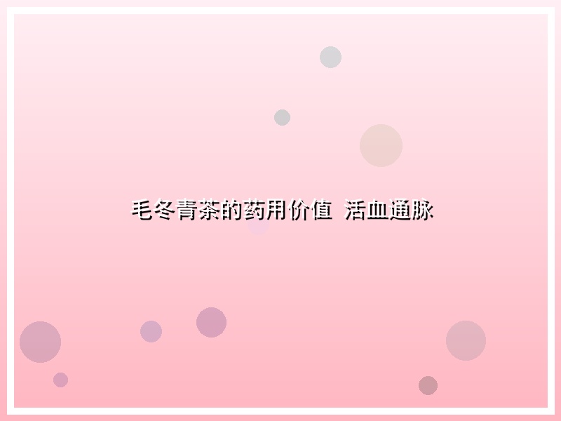 毛冬青茶的药用价值 活血通脉