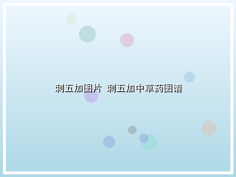 刺五加图片 刺五加中草药图谱