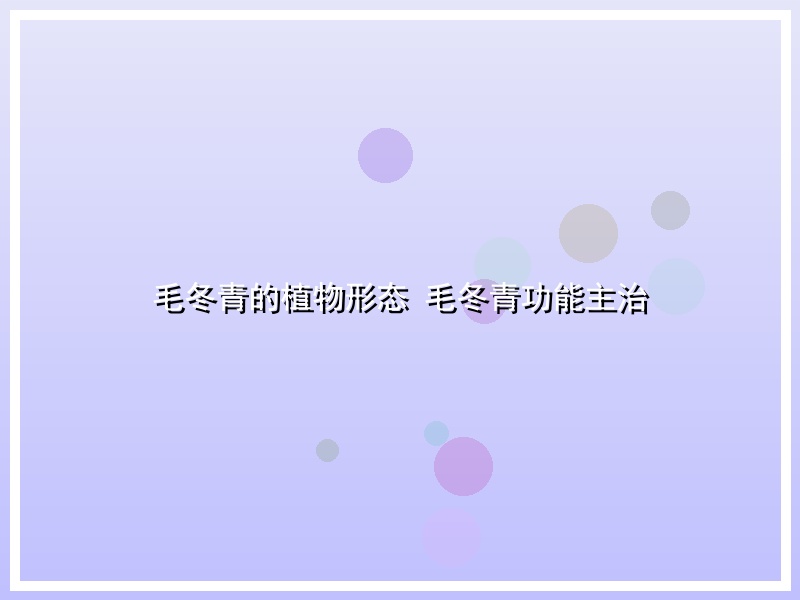 毛冬青的植物形态 毛冬青功能主治