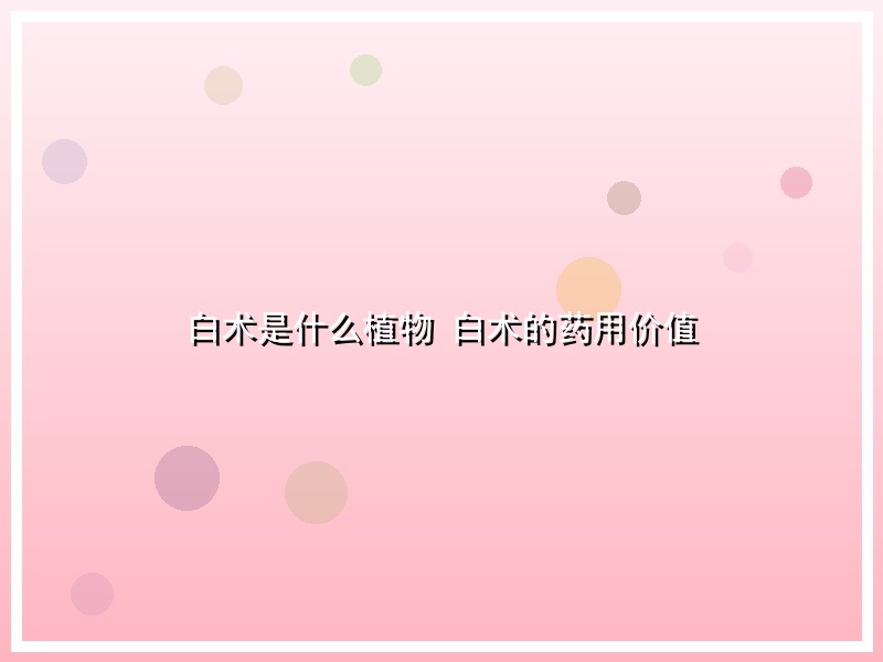 白术是什么植物 白术的药用价值