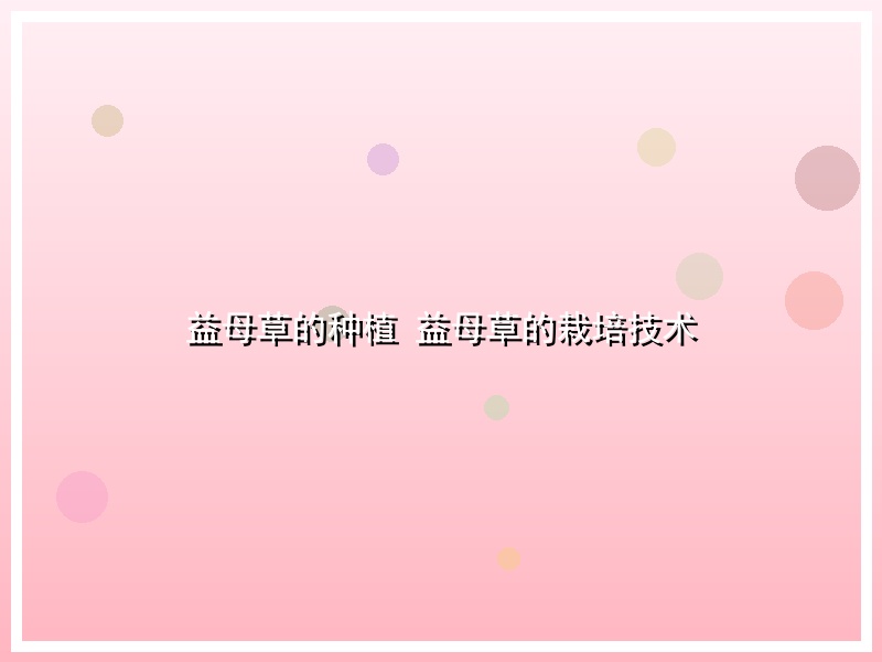 益母草的种植 益母草的栽培技术
