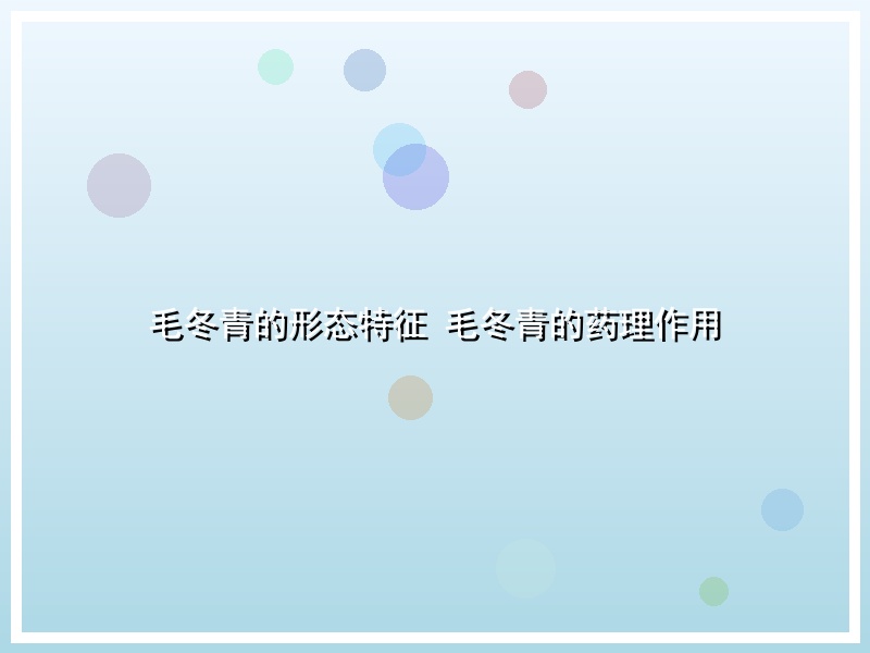 毛冬青的形态特征 毛冬青的药理作用