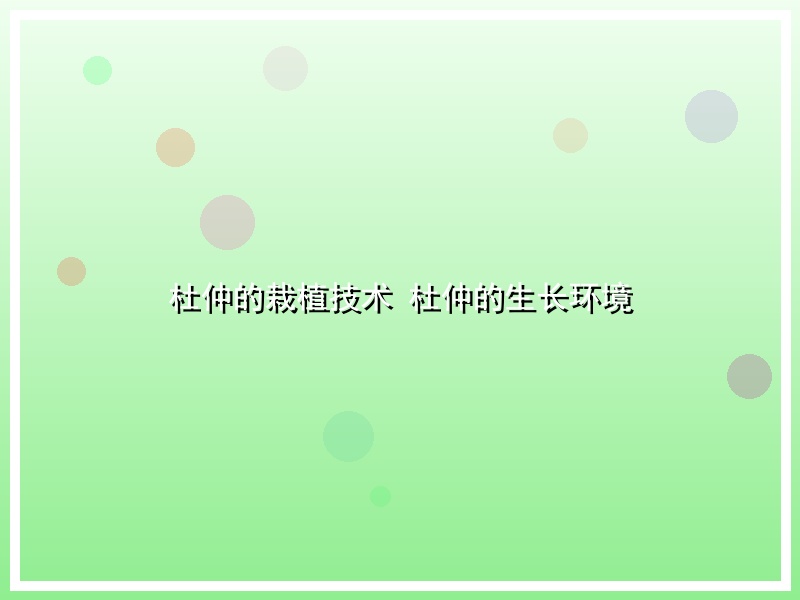 杜仲的栽植技术 杜仲的生长环境
