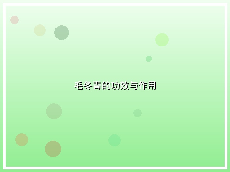毛冬青的功效与作用
