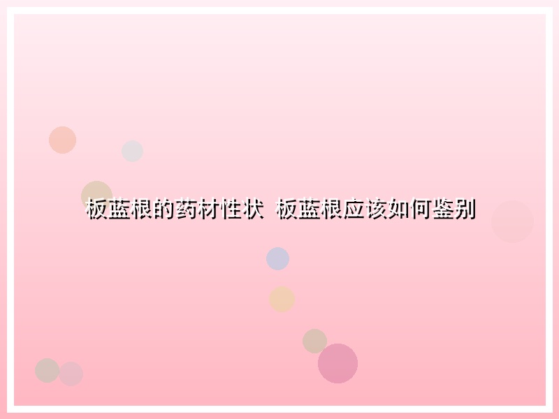 板蓝根的药材性状 板蓝根应该如何鉴别