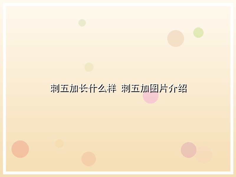 刺五加长什么样 刺五加图片介绍