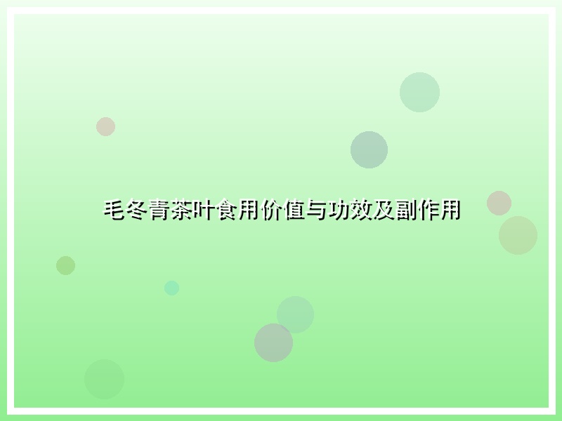 毛冬青茶叶食用价值与功效及副作用