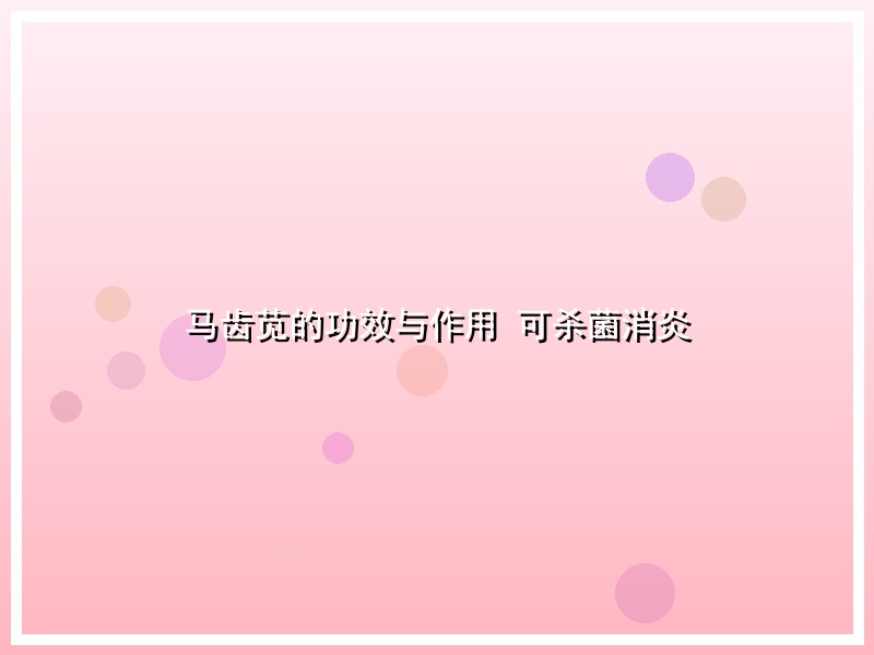 马齿苋的功效与作用 可杀菌消炎