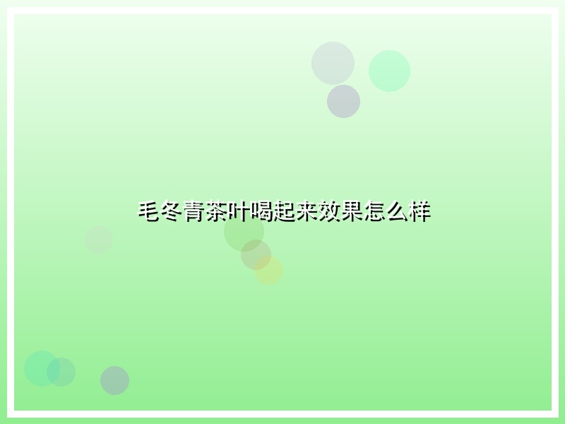 毛冬青茶叶喝起来效果怎么样