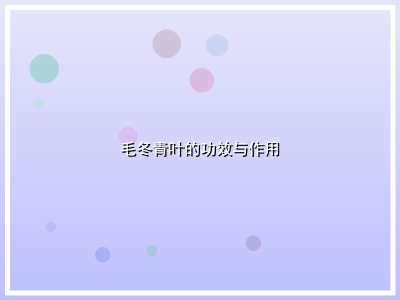 毛冬青叶的功效与作用