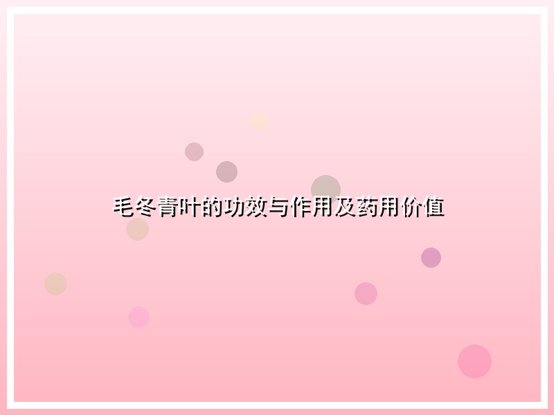 毛冬青叶的功效与作用及药用价值