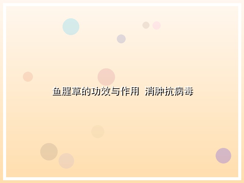 鱼腥草的功效与作用 消肿抗病毒