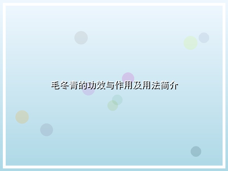 毛冬青的功效与作用及用法简介