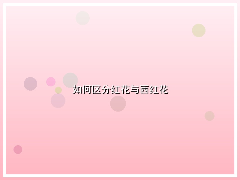 如何区分红花与西红花