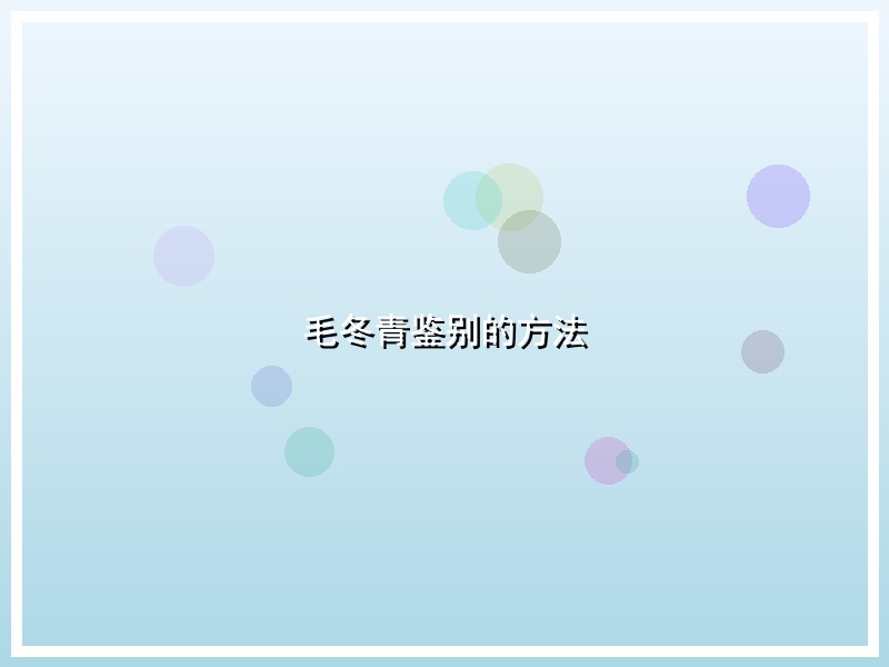 毛冬青鉴别的方法