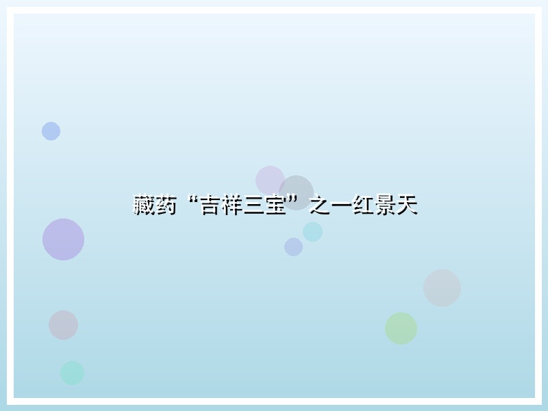 藏药“吉祥三宝”之一红景天