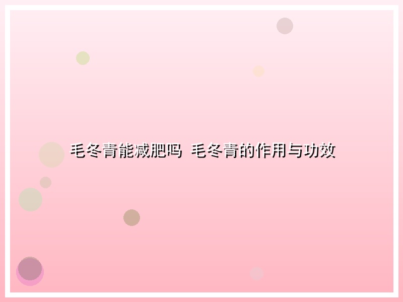毛冬青能减肥吗 毛冬青的作用与功效