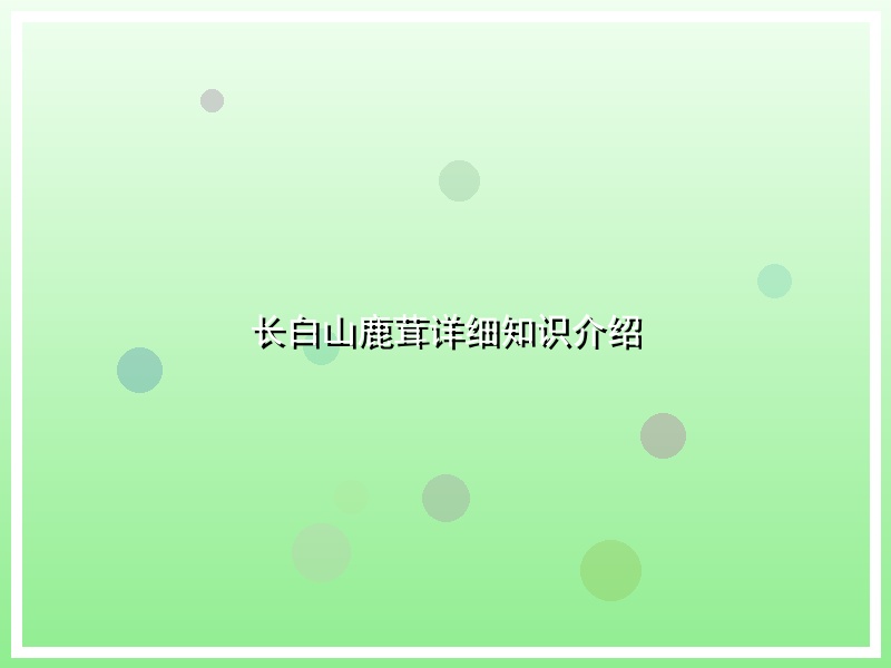 长白山鹿茸详细知识介绍