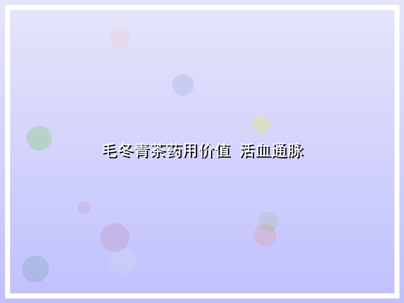 毛冬青茶药用价值 活血通脉
