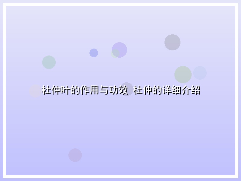杜仲叶的作用与功效 杜仲的详细介绍