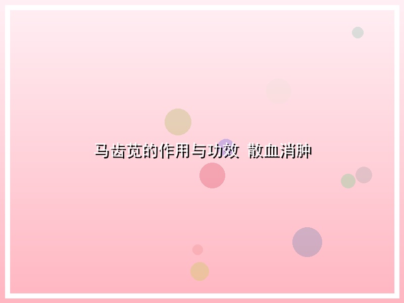 马齿苋的作用与功效 散血消肿
