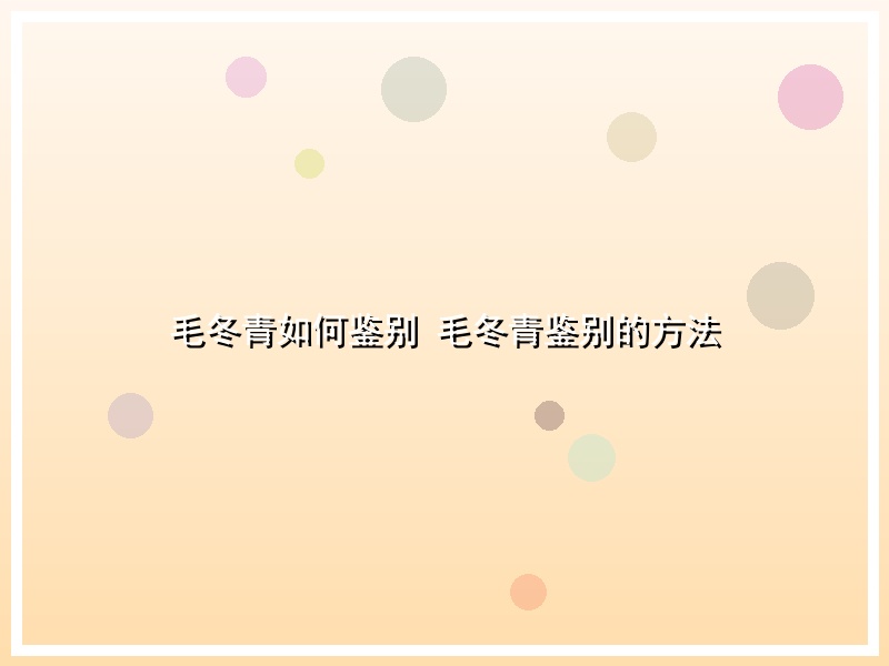 毛冬青如何鉴别 毛冬青鉴别的方法