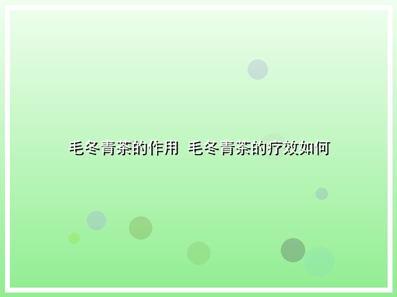 毛冬青茶的作用 毛冬青茶的疗效如何