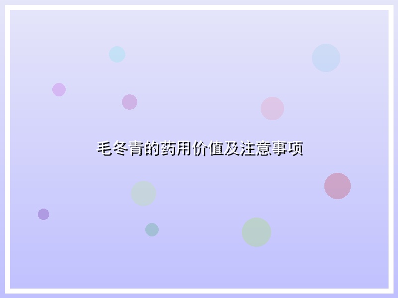 毛冬青的药用价值及注意事项