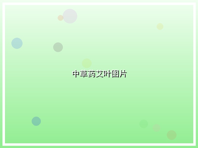 中草药艾叶图片