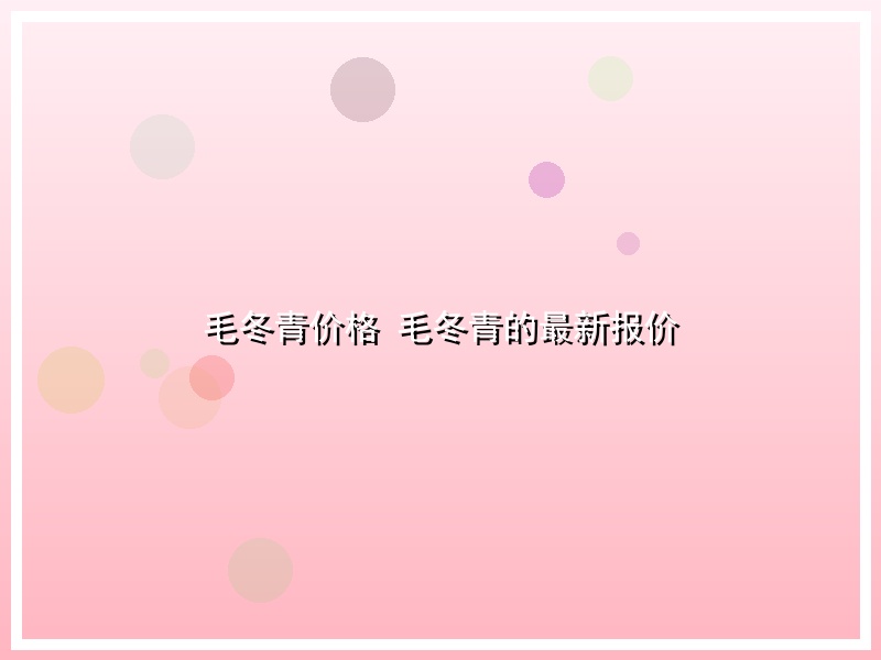 毛冬青价格 毛冬青的最新报价