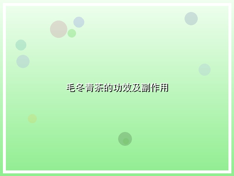 毛冬青茶的功效及副作用
