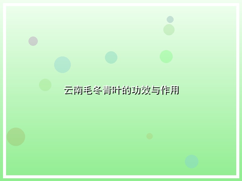 云南毛冬青叶的功效与作用