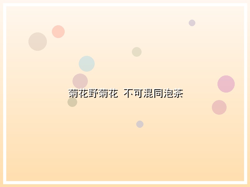 菊花野菊花 不可混同泡茶