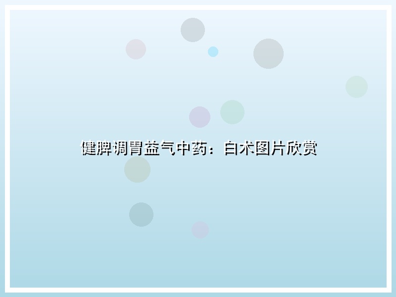 健脾调胃益气中药：白术图片欣赏