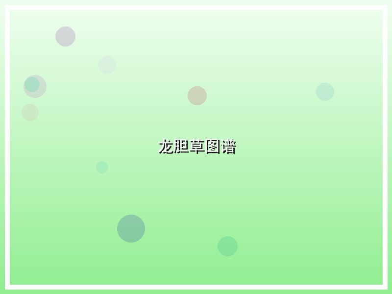 龙胆草图谱