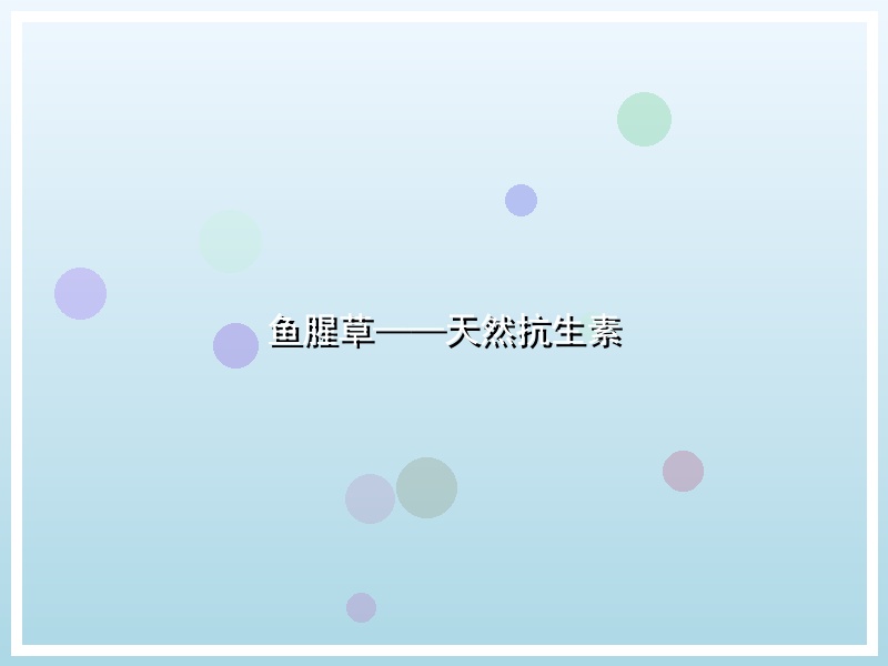鱼腥草——天然抗生素