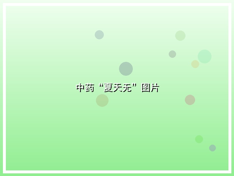 中药“夏天无”图片