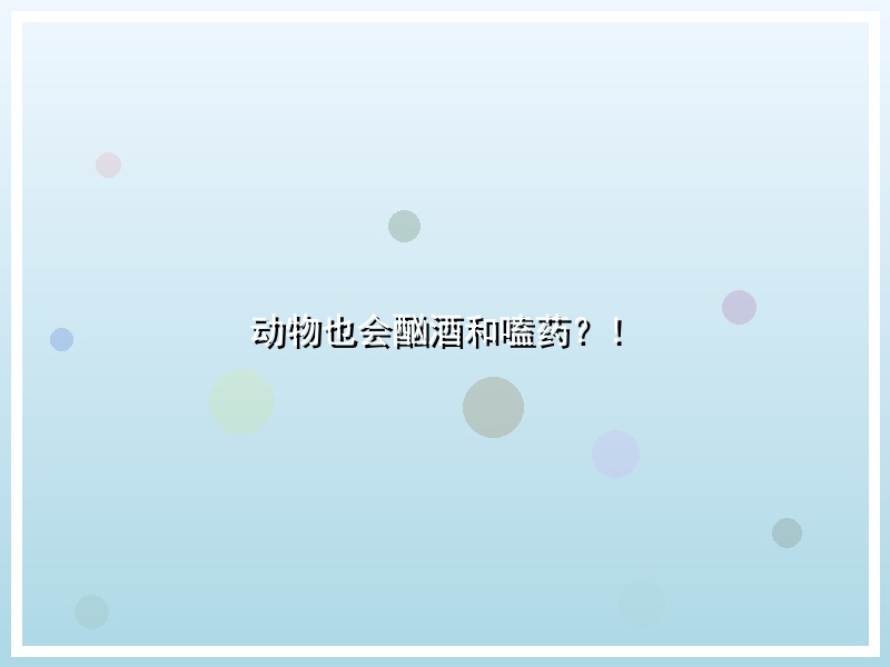 动物也会酗酒和嗑药？！