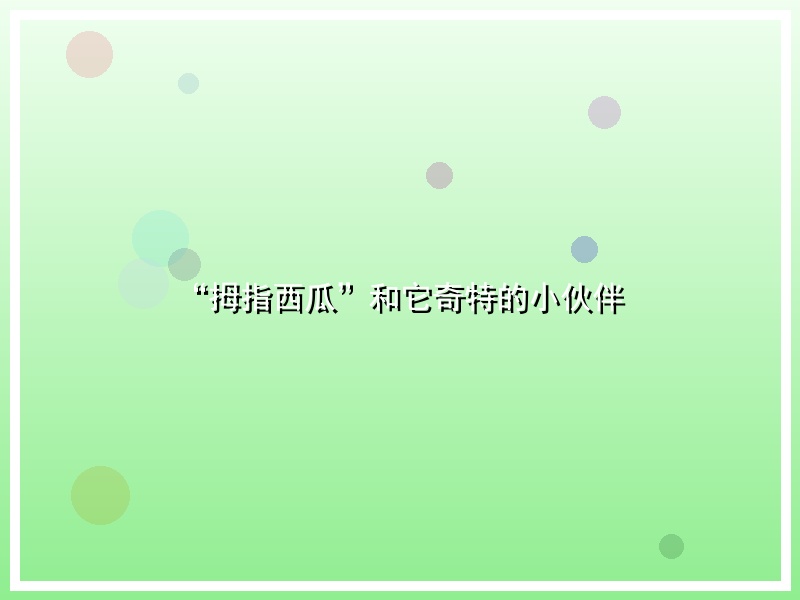 “拇指西瓜”和它奇特的小伙伴