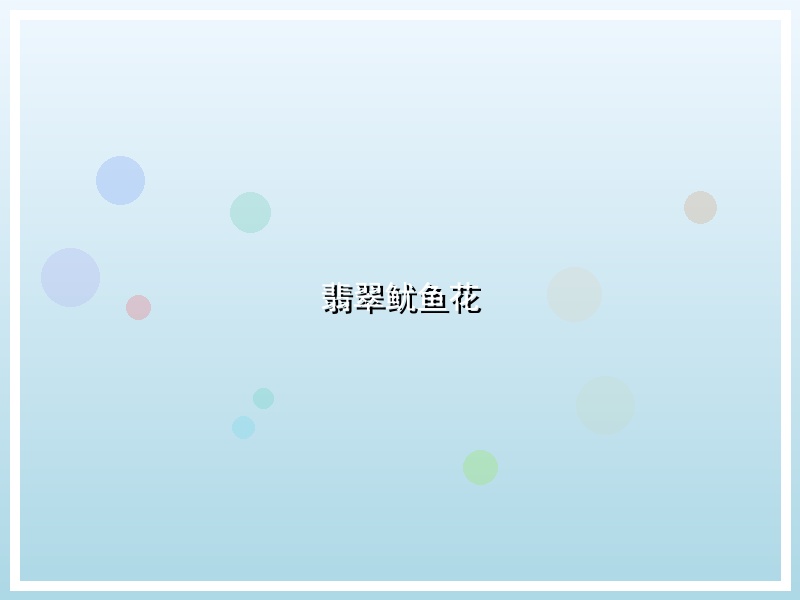 翡翠鱿鱼花