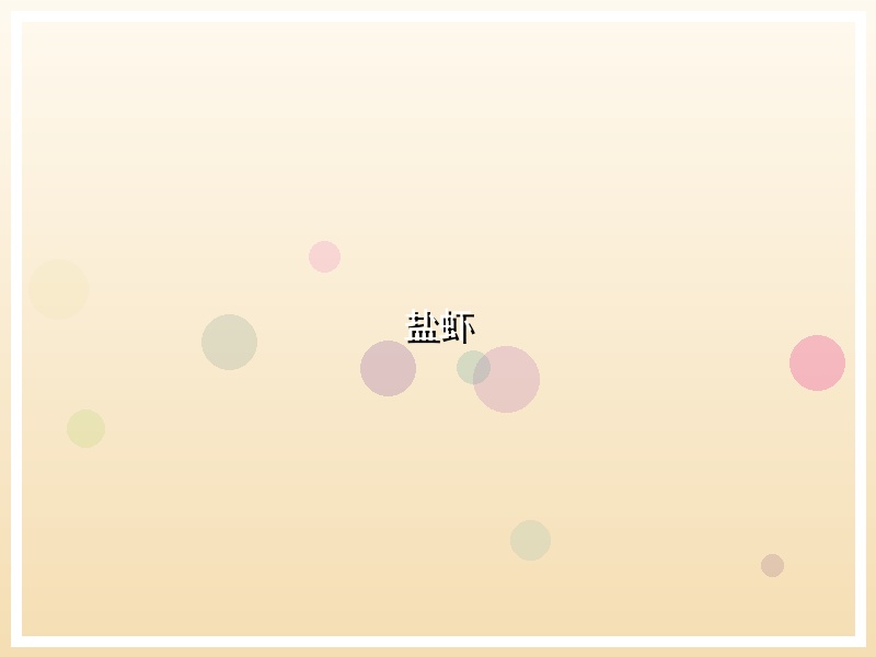 盐虾