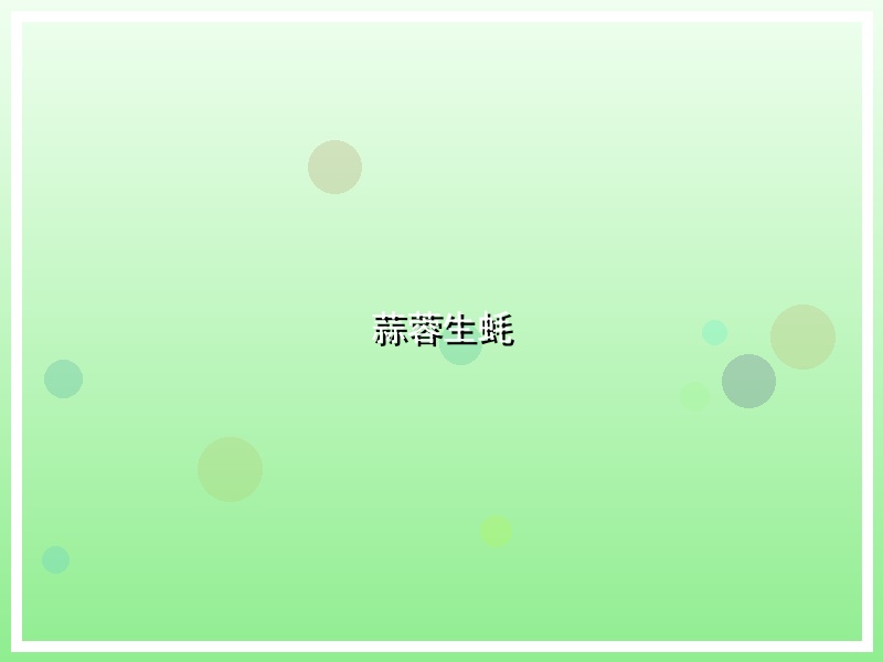 蒜蓉生蚝