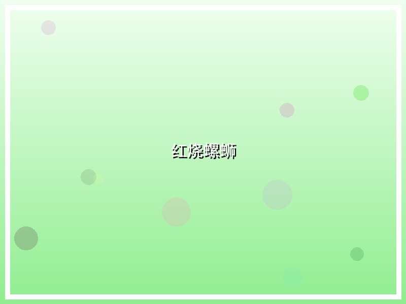 红烧螺蛳